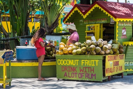 kids-friendly-jamaica_2.jpg